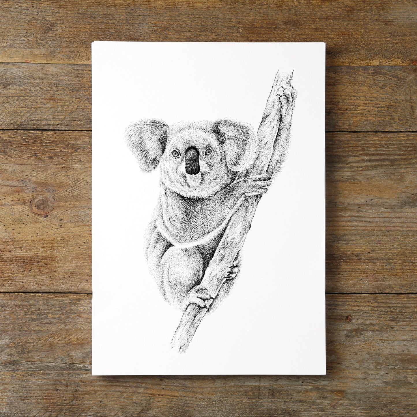KOALA - ORIGINAL ART
