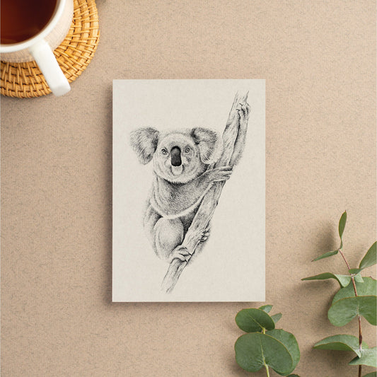 KOALA - A6 POSTCARD