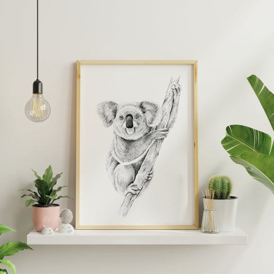 KOALA - ART PRINT